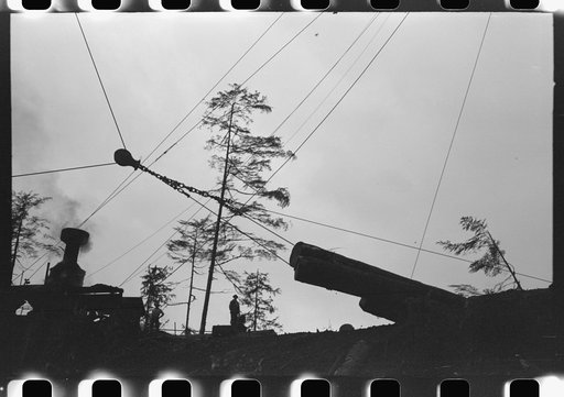Donkey engine transportation of logs by cables from spar tree, Long Bell Lumber Company, Cowlitz County, Washington