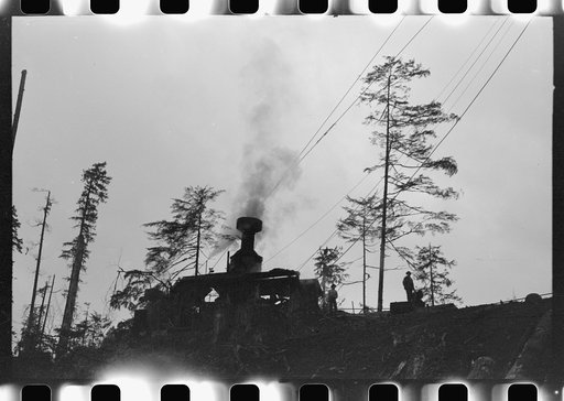Untitled photo, possibly related to: Donkey engine transportation of logs by cables from spar tree, Long Bell Lumber Company, Cowlitz County, Washington