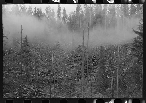 Logging holdings of the Long Bell Lumber Company, Cowlitz County, Washington