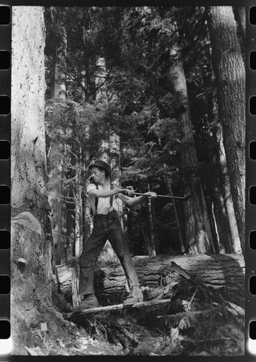 Untitled photo, possibly related to: A faller who is pouring oil on this saw while falling a tree, Cowlitz County, Washington