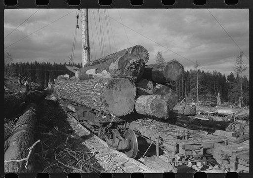 Logs on flatcar, Long Bell Lumber Company, Cowlitz County, Washington