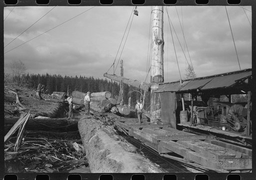 Loading logs on the flatcars, Long Bell Lumber Company, Cowlitz County, Washington