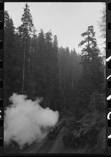 Untitled photo, possibly related to: The "crummies" in which the lumberjacks ride to woods operations from Ryderwood. Long Bell Lumber Company, Cowlitz County, Washington