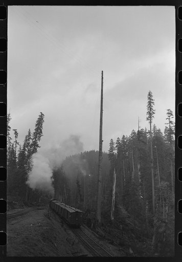 The "crummies" in which the lumberjacks ride to woods operations from Ryderwood. Long Bell Lumber Company, Cowlitz County, Washington
