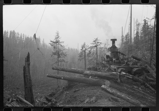Untitled photo, possibly related to: The donkey engine transporting of logs from woods to yard, Long Bell Lumber Company, Cowlitz County, Washington