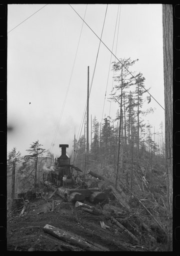 Untitled photo, possibly related to: The donkey engine transporting of logs from woods to yard, Long Bell Lumber Company, Cowlitz County, Washington