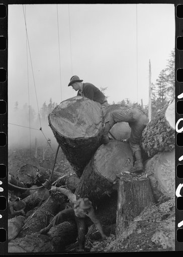 Untitled photo, possibly related to: The choker puts choker loop on log for transporting from woods to yard by means of donkey engine, cables and spar tree. Long Bell Lumber Company, Cowlitz County, Washington