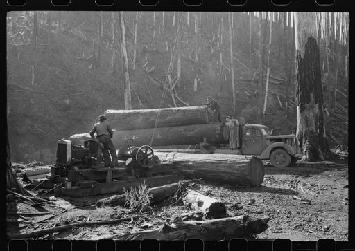 Untitled photo, possibly related to: Loading logs onto truck with cables from donkey engine, Tillamook County, Oregon