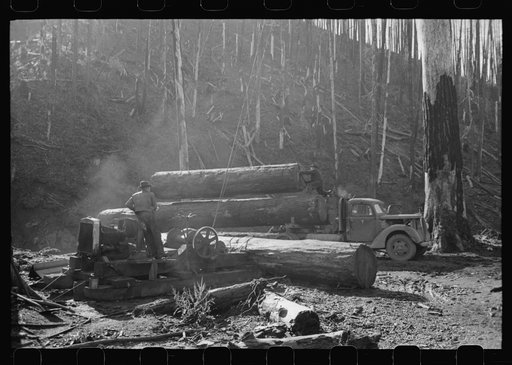 Loading logs onto truck with cables from donkey engine, Tillamook County, Oregon