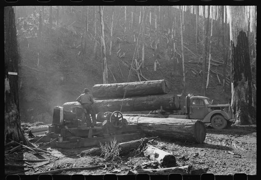 Untitled photo, possibly related to: Loading logs onto truck with cables from donkey engine, Tillamook County, Oregon