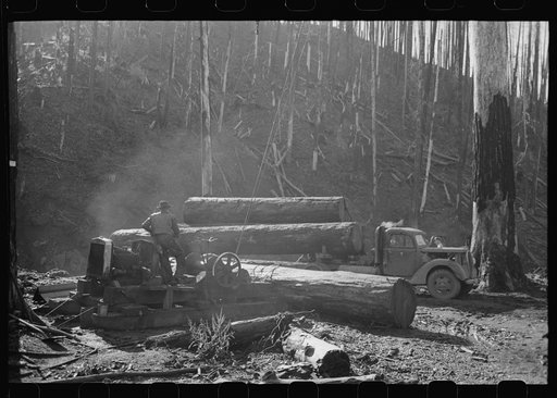 Untitled photo, possibly related to: Loading logs onto truck with cables from donkey engine, Tillamook County, Oregon