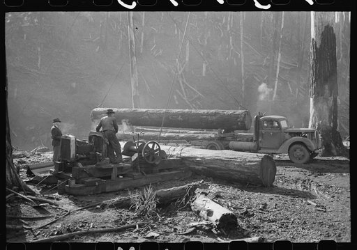Loading logs onto truck with cables from donkey engine, Tillamook County, Oregon