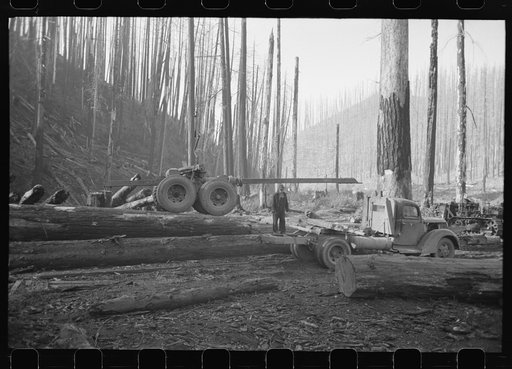 Truck with trailer being lowered into place, logging operations, Tillamook County, Oregon