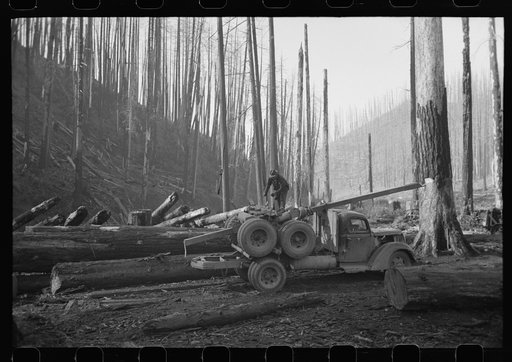 Truck and trailer used for hauling logs, Tillamook County, Oregon