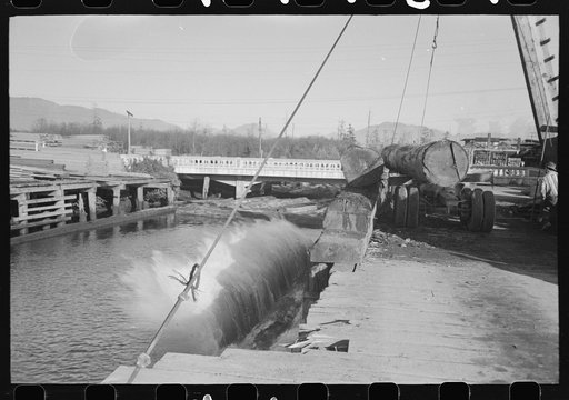 Untitled photo, possibly related to: Rolling logs from truck to pond, Tillamook, Oregon