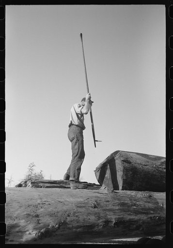 Untitled photo, possibly related to: Scaler who measures and determines extent of rot in logs, Tillamook, Oregon