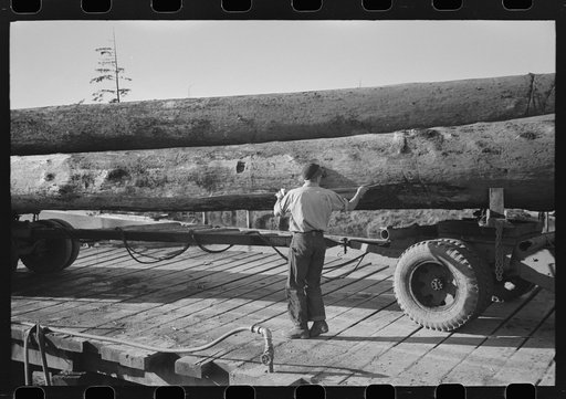 Untitled photo, possibly related to: Logs on truck arrive at pond, Tillamook, Oregon