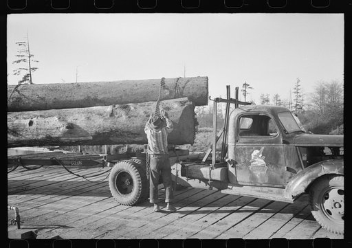 Untitled photo, possibly related to: Logs on truck arrive at pond, Tillamook, Oregon