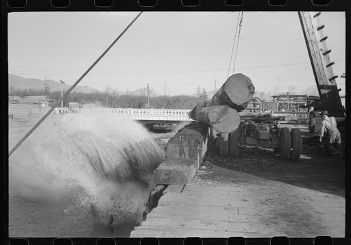 Rolling logs from truck to pond, Tillamook, Oregon