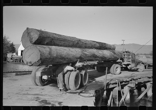 Logs on truck arrive at pond, Tillamook, Oregon