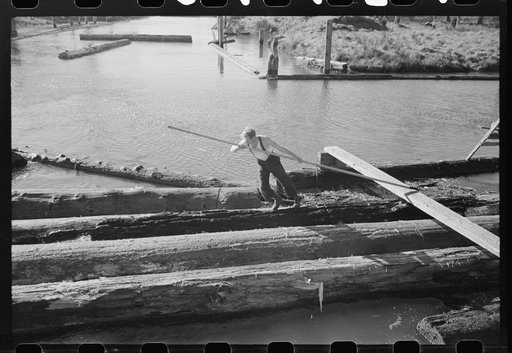 Lumberjack forming log raft in slough, Tillamook, Oregon