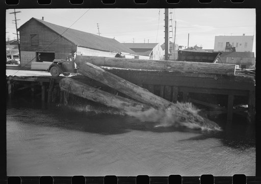 Logs roll into the pond, Tillamook County, Oregon