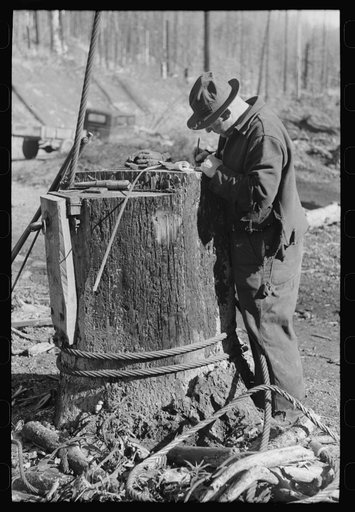 Checker at logging operations, Tillamook County, Oregon
