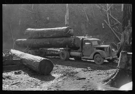 Loading logs onto truck, Tillamook County, Oregon
