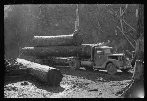 Untitled photo, possibly related to: Logs on truck arrive at pond, Tillamook, Oregon