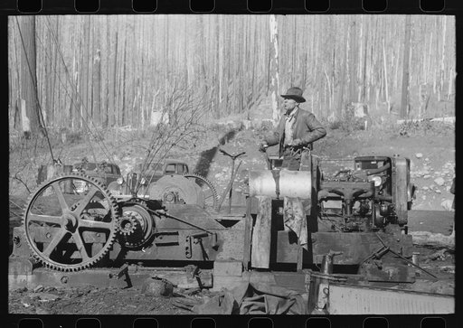 Donkey puncher at gyppo logging operations, Tillamook County, Oregon