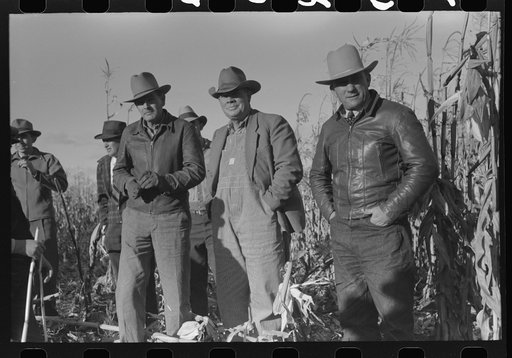 Spectators at cornhusking contest, Ontario, Oregon