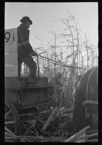 Untitled photo, possibly related to: Contestant and wagon driver at cornhusking contest, Ontario, Oregon