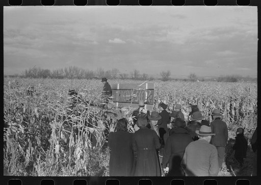 Untitled photo, possibly related to: Contestant and wagon driver at cornhusking contest, Ontario, Oregon