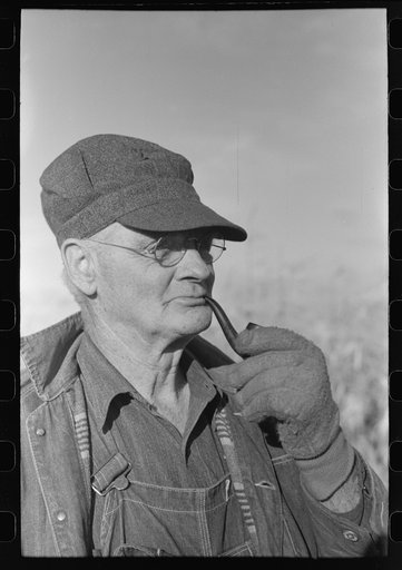 Farmer at cornhusking contest, Ontario, Oregon