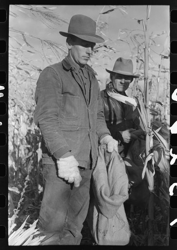 Untitled photo, possibly related to: Spectators at cornhusking contest, Ontario, Oregon