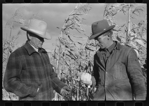 Spectators at cornhusking contest, Ontario, Oregon