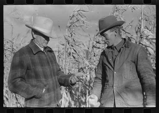 Untitled photo, possibly related to: Spectators at cornhusking contest, Ontario, Oregon