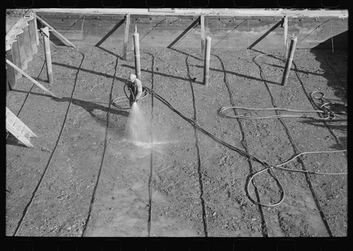 Wetting down freshly-poured concrete, Shasta Dam, Shasta County, California