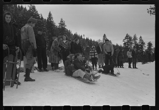 Fun in the snow, Sequoia National Park, California