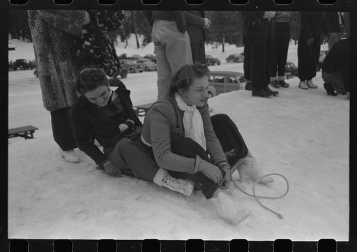Fun in the snow, Sequoia National Park, California