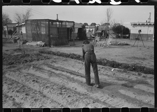 Untitled photo, possibly related to: Garden at one of the houses on the FSA (Farm Security Administration) Camelback Farms, Phoenix, Arizona