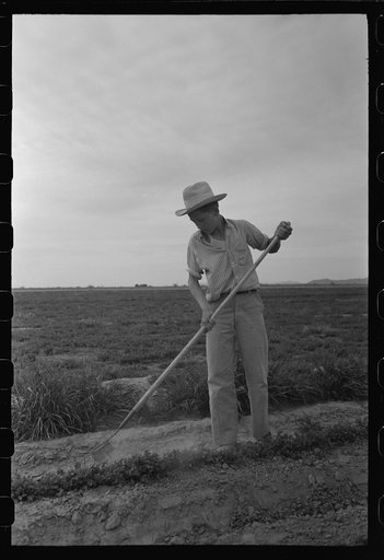 Boy in the vocational training class, gardening, at the FSA (Farm Security Administration) farmworkers community, Eleven Mile Corner, Arizona