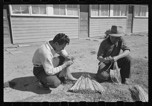 Agricultural worker with raffia which is used in bunching carrots, Yuma County, Arizona