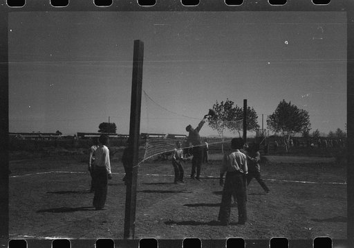 Untitled photo, possibly related to: Volleyball game at the annual field day at the FSA (Farm Security Administration) farmworkers community, Yuma, Arizona
