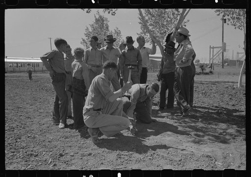 Driving stake for horseshoe pitching contest at the FSA (Farm Security Administration) farmworkers community, Yuma, Arizona