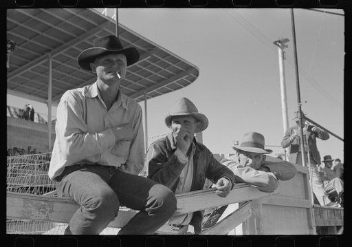 Cattleman at the Imperial County Fair, California
