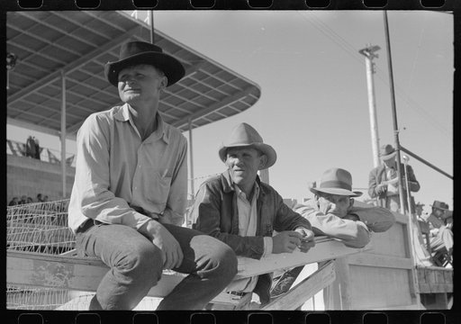 Untitled photo, possibly related to: El Centro (vicinity), California. Cattleman at the Imperial County Fair