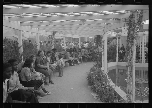 Untitled photo, possibly related to: At the Imperial County Fair, California