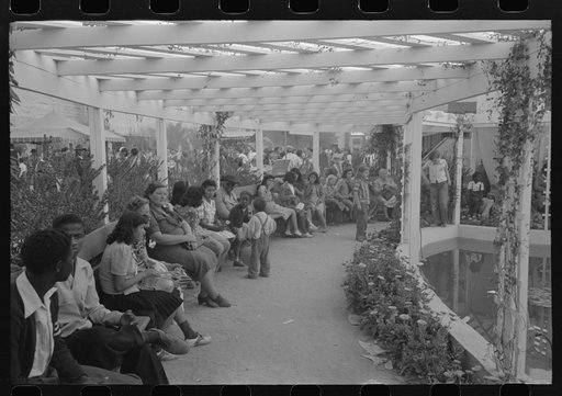 At the Imperial County Fair, California