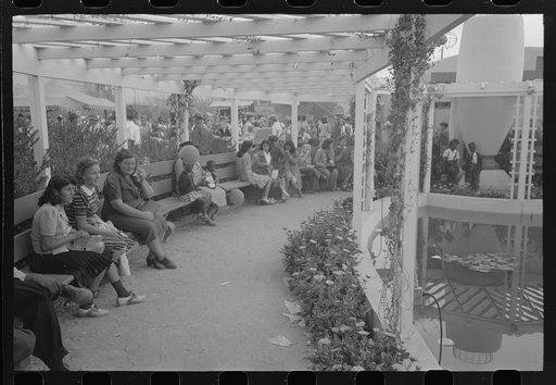 At the Imperial County Fair, California